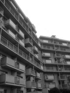 f0100480_052034.jpg