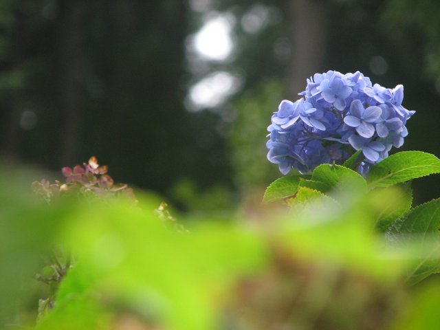 a0060882_19401330.jpg