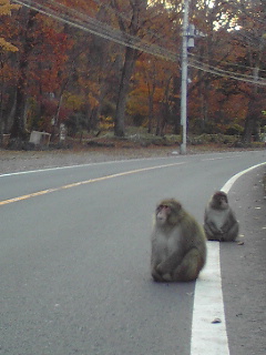 c0096582_1446201.jpg