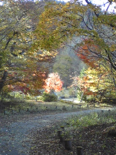c0096582_14512159.jpg