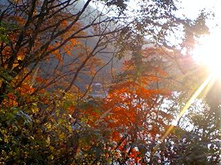 c0096582_14531157.jpg