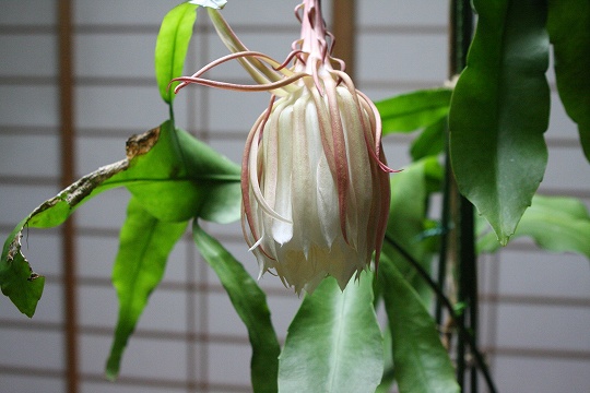 b0115085_1061039.jpg