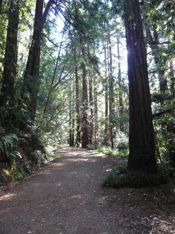 f0181488_345771.jpg