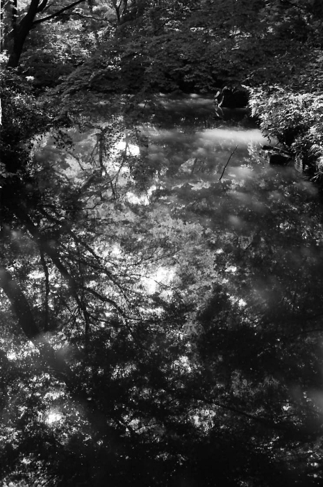 e0025893_2005784.jpg
