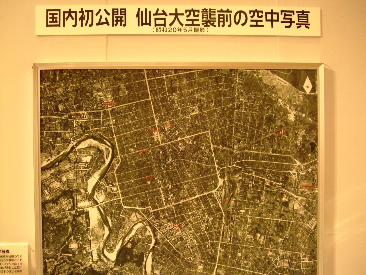 f0100593_202750.jpg