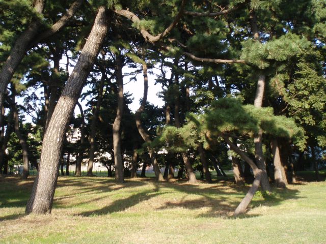 f0130894_21451796.jpg