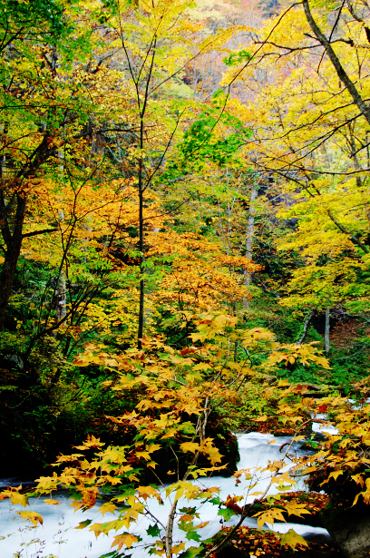 c0134295_0184843.jpg