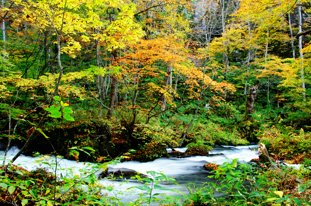c0134295_11574.jpg