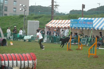 c0050400_22215791.jpg