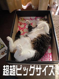 c0035001_18331350.jpg