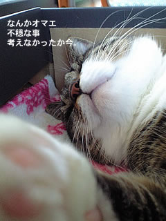 c0035001_1835729.jpg