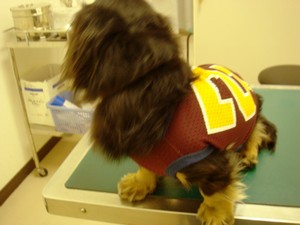 e0007801_13472964.jpg
