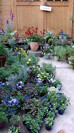 c0152002_2213212.jpg