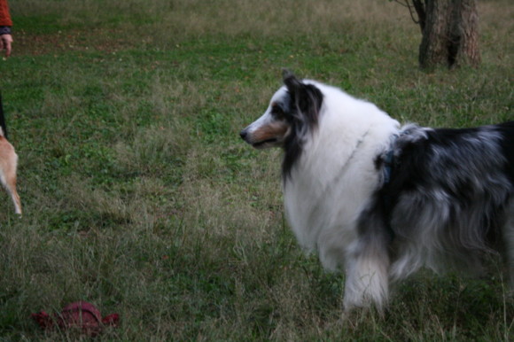 d0070702_2036328.jpg