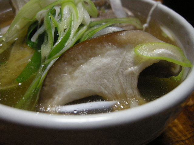 a0091907_3285051.jpg