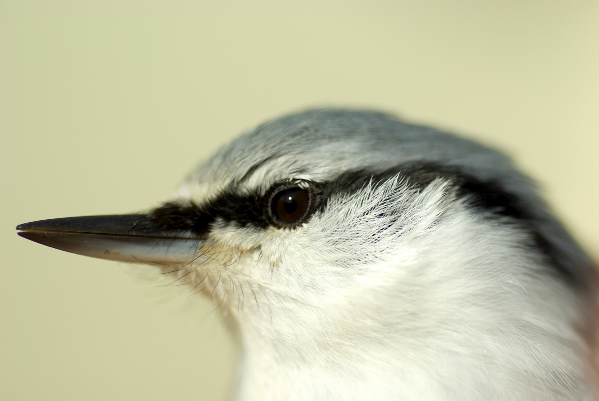 e0142611_22231772.jpg