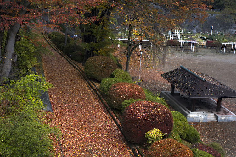d0146912_2147471.jpg