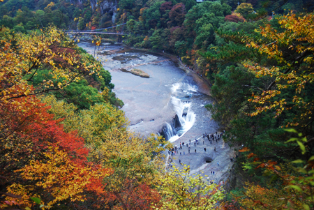 d0113613_120317.jpg