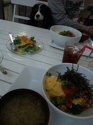 b0072515_001678.jpg
