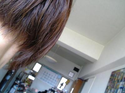 c0175715_1621890.jpg