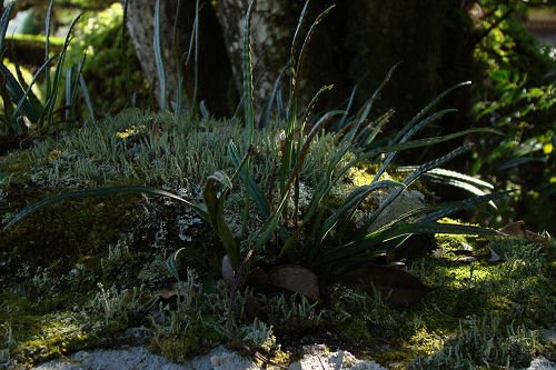 f0007926_10252256.jpg