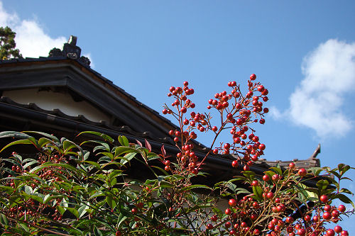 f0007926_10313397.jpg