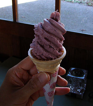 f0007926_10402297.jpg