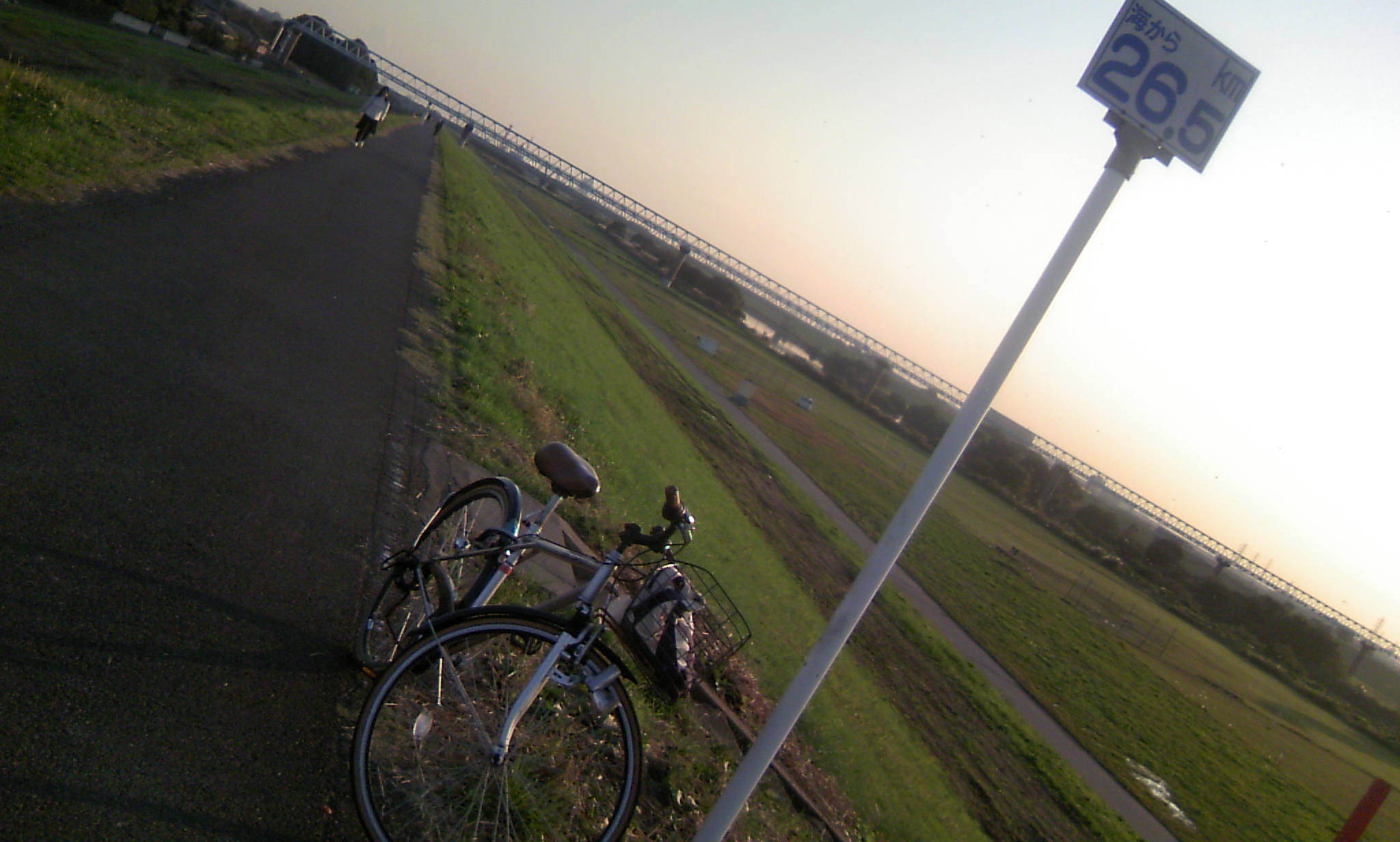 d0009828_1621769.jpg