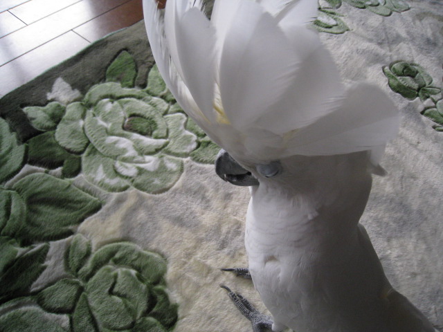 e0107730_23281445.jpg