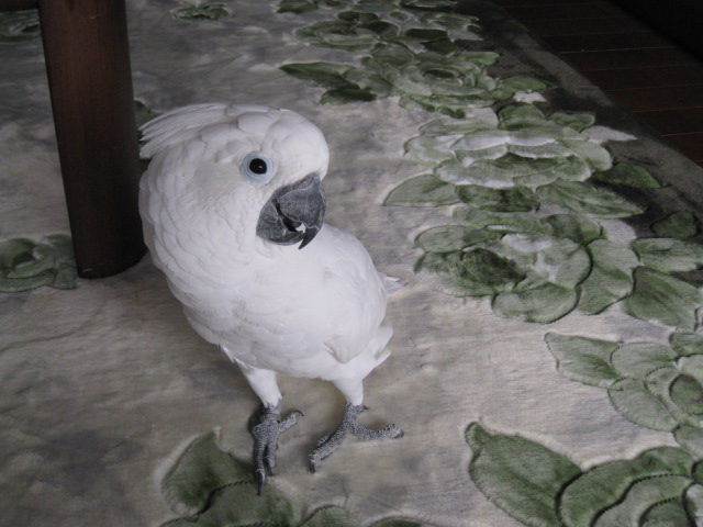 e0107730_23305231.jpg