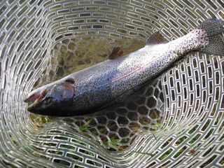 f0065341_112571.jpg