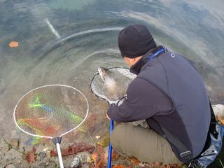 f0065341_11284245.jpg
