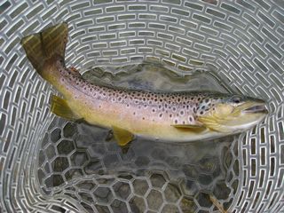 f0065341_11324843.jpg