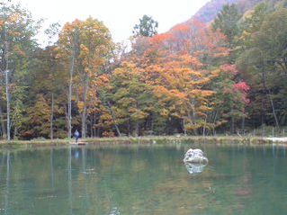 f0065341_1233059.jpg