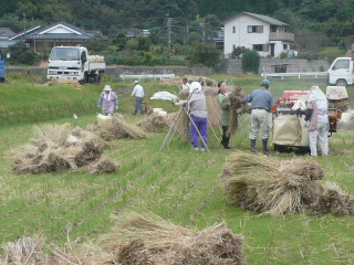 c0015544_18511011.jpg