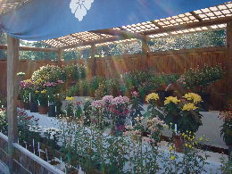 e0111346_2152774.jpg