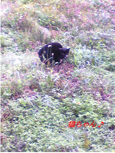 f0184055_9582025.jpg