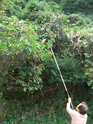 e0125664_21313242.jpg