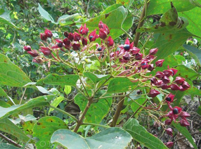 e0125664_2131488.jpg