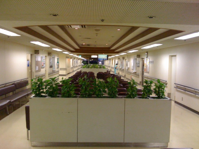 e0078069_2139994.jpg