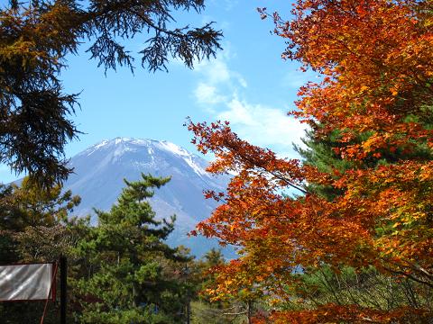 a0081772_221848.jpg