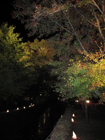 a0081772_221991.jpg