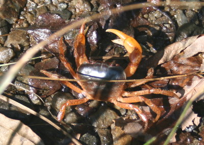 f0181173_0311364.jpg