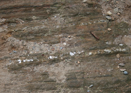 f0181173_0333621.jpg