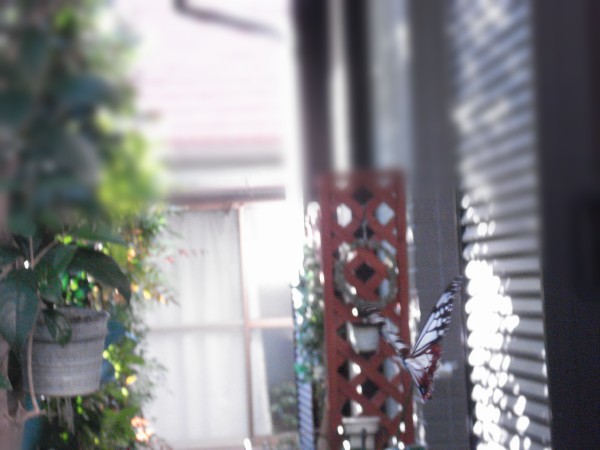 f0165677_1849863.jpg