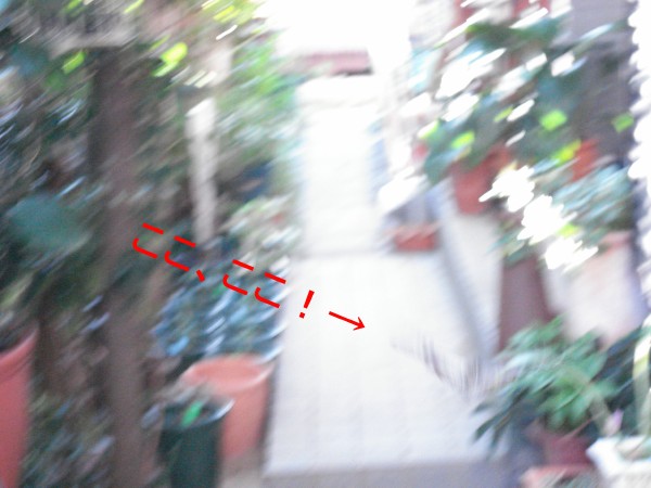 f0165677_18552328.jpg