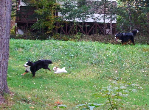 c0149178_18391914.jpg