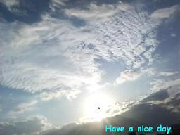 f0016981_0145916.jpg