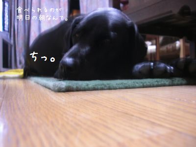 b0000885_20225951.jpg