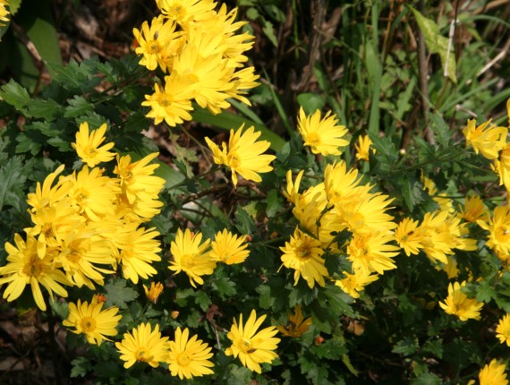c0144185_22445171.jpg